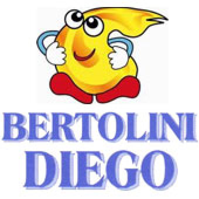 Bertolini Diego Snc di Silboni M. e Bertolini D.