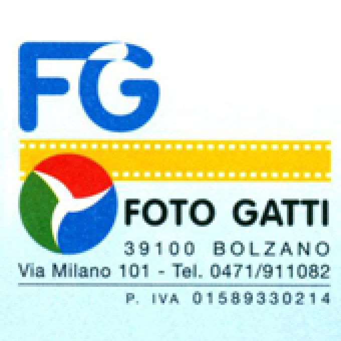 Foto Gatti