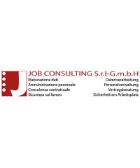 Job Consulting