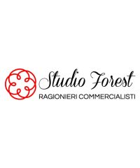 Studio Forest